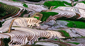 Mu Cang Chai in Vietnam - Land of terraced rice fields